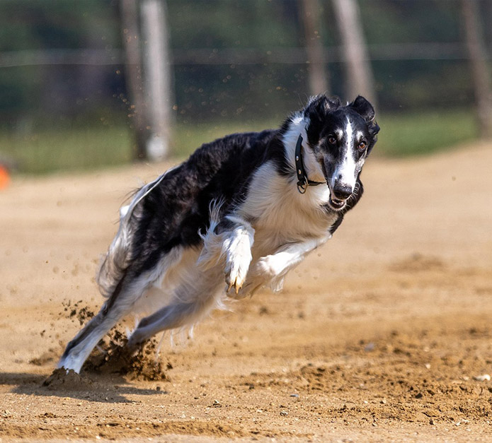 UK government to unleash capital of insurers on economy amid liquidity changes