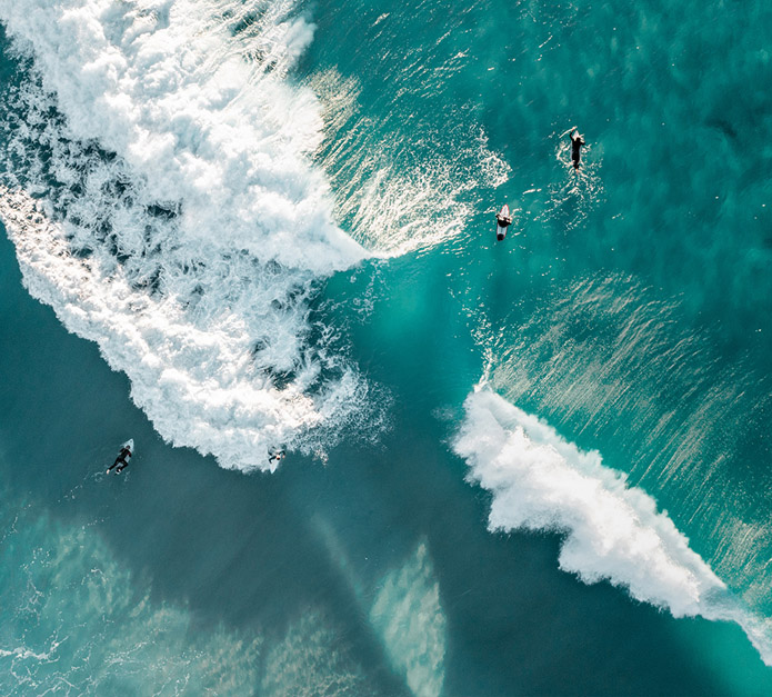 Building resilience with flexible fixed income opportunities