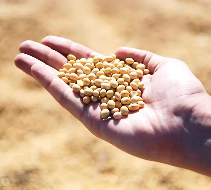 What could El Niño mean for inflation?