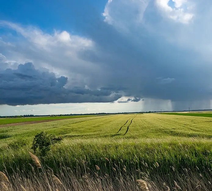 El Niño poses a systemic threat to the wider economy