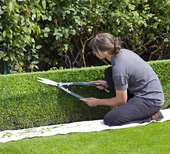Efficiency to resilience is the course of the next five years