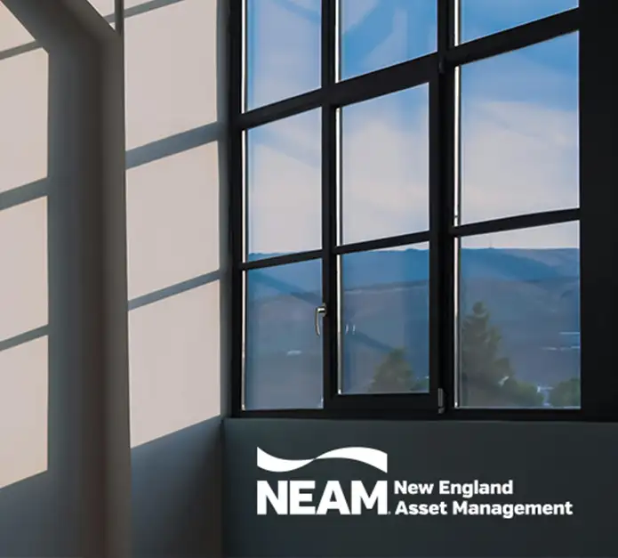 A window into private debt: private placement trends across US insurers