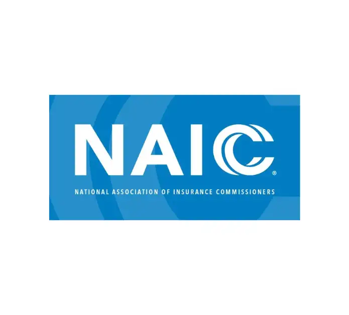 NAIC turns its attention to insurers' hidden mortgage exposure